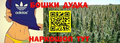 PSILOCYBIN Гусиноозёрск