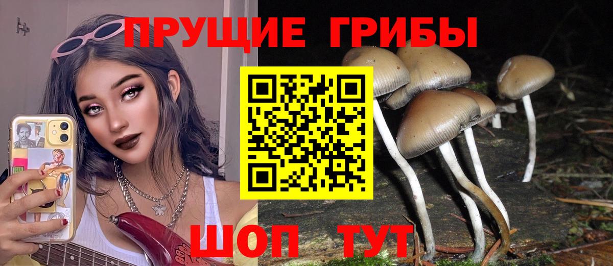Алапаевск  Псилоцибиновые грибы мицелий  Вход с VPN 