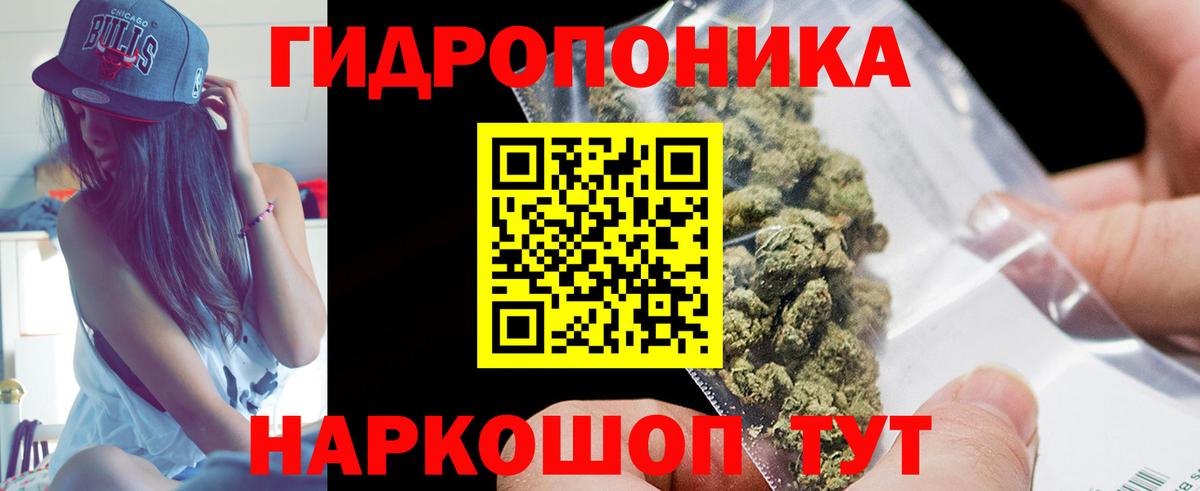 Шишки марихуана семена  Алапаевск  Конопля AK-47 